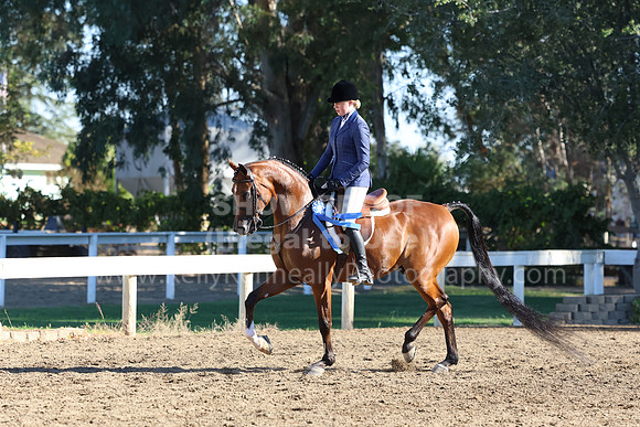 DAHA_FF22_2095