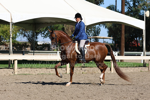 DAHA_FF22_0607