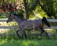 LaVitaBellaRA_Apr25_5571