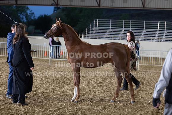 AHANC22_R5_Wed_0538