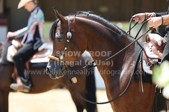 R2_22_Thurs_0687