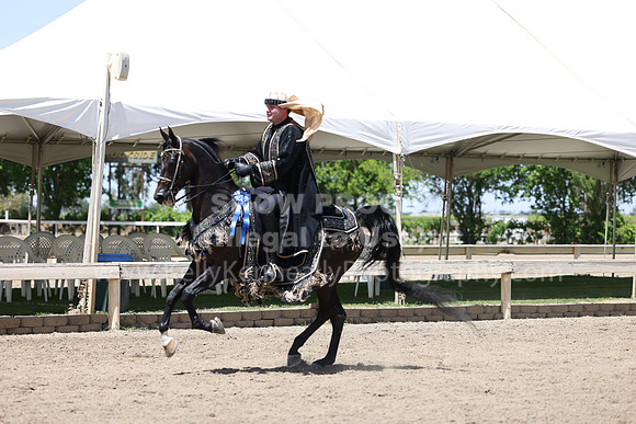 DAHA22_Thurs_1178