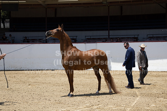 R2_22_Thurs_0364