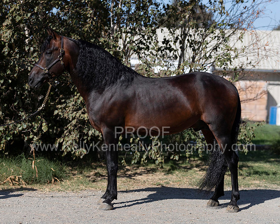 PromisesLegacy19_0014