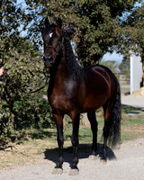 PromisesLegacy19_0042