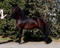 PromisesLegacy19_0055