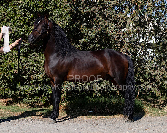 PromisesLegacy19_0055