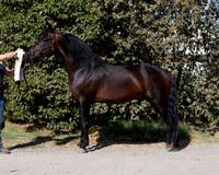 PromisesLegacy19_0056