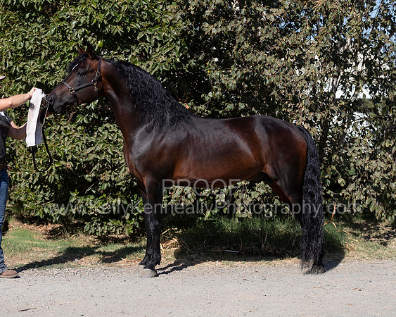 PromisesLegacy19_0056