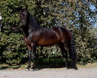 PromisesLegacy19_0058