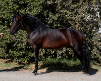 PromisesLegacy19_0061