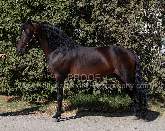 PromisesLegacy19_0061