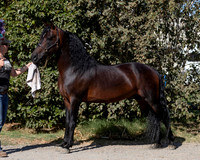PromisesLegacy19_0066