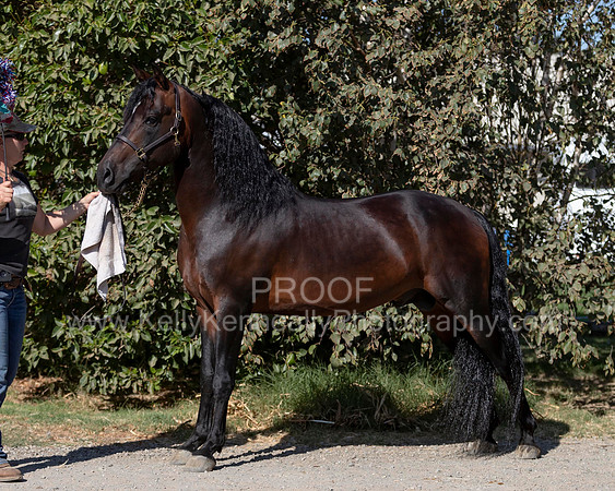 PromisesLegacy19_0066