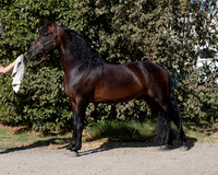 PromisesLegacy19_0067