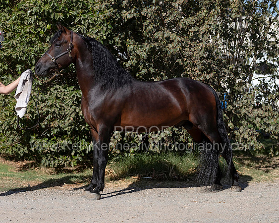 PromisesLegacy19_0067