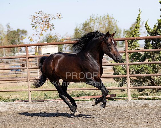 PromisesLegacy19_0215
