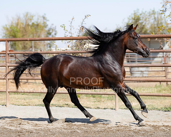 PromisesLegacy19_0255