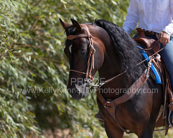 PromisesLegacy19_0600