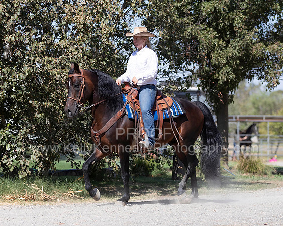 PromisesLegacy19_0655