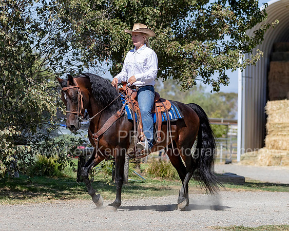 PromisesLegacy19_0675