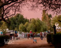 DAHA_FALL19SATPMEve_6553
