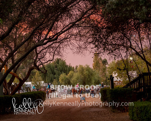 DAHA_FALL19SATPMEve_6555