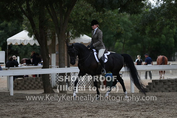 DAHA_FALL19FRIAM_2010