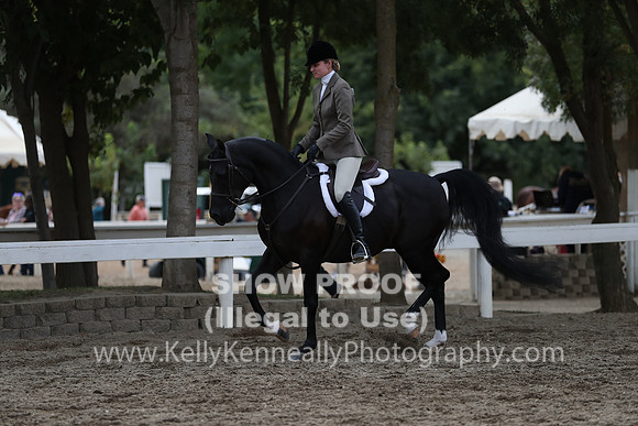 DAHA_FALL19FRIAM_2011