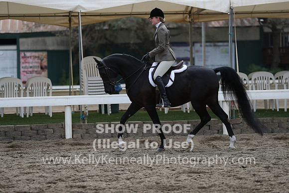 DAHA_FALL19FRIAM_2012