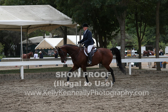 DAHA_FALL19FRIAM_2014