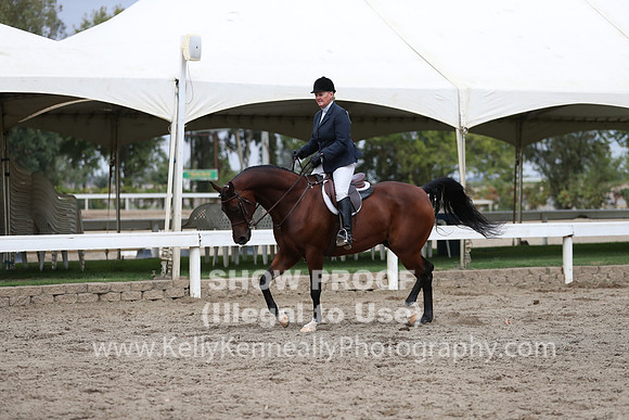 DAHA_FALL19FRIAM_2019