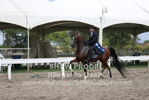 DAHA_FALL19FRIAM_2005