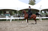 DAHA_FALL19FRIAM_2135