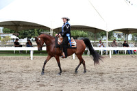 DAHA_FALL19FRIAM_2201