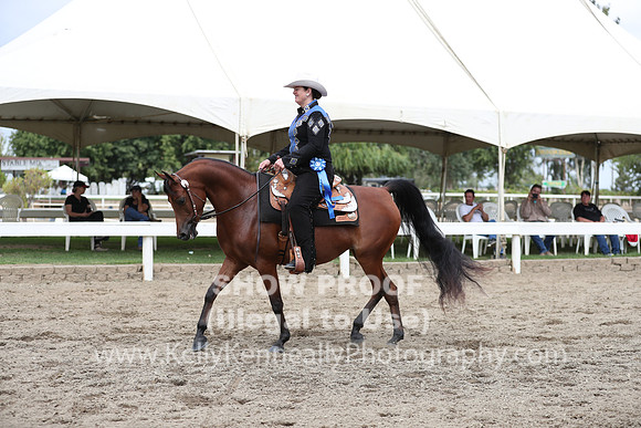 DAHA_FALL19FRIAM_2201