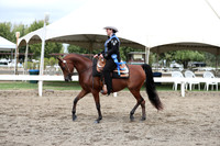 DAHA_FALL19FRIAM_2202