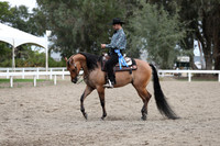 DAHA_FALL19FRIAM_2208