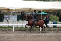 DAHA_FALL19FRIAM_2410