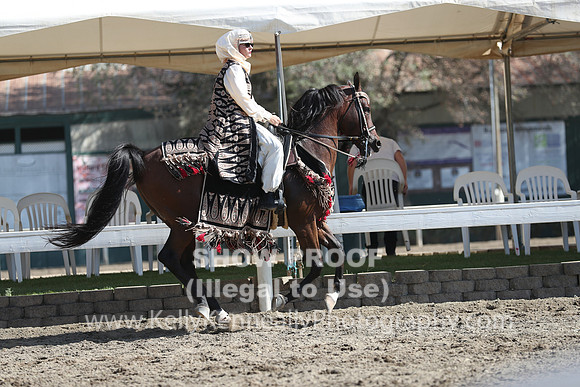 DAHA_FALL19FRIPM_2951