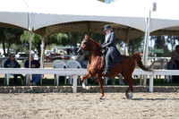 DAHA_FALL19FRIPM_3007
