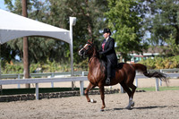DAHA_FALL19FRIPM_3025