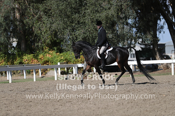 DAHA_FALL19FRIPM_3132
