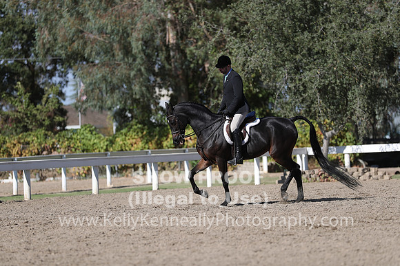 DAHA_FALL19FRIPM_3133