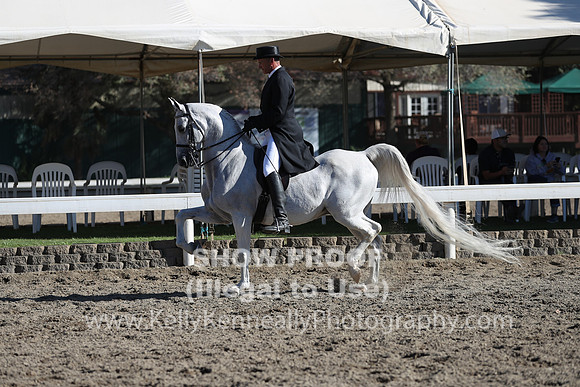 DAHA_FALL19FRIPM_3227