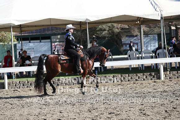 DAHA_FALL19FRIPM_3181