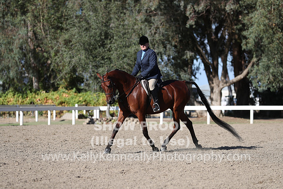 DAHA_FALL19FRIPM_3242