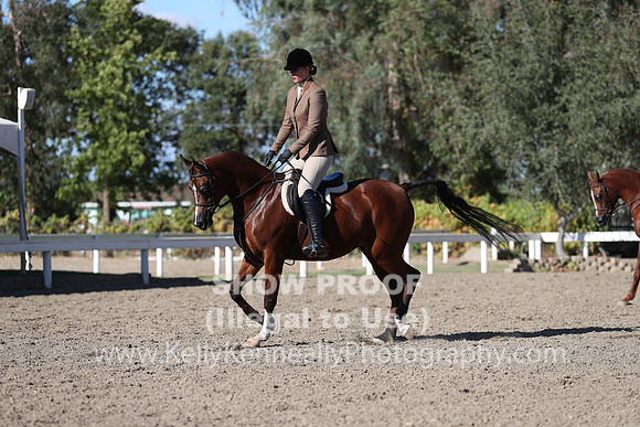 DAHA_FALL19FRIPM_3249