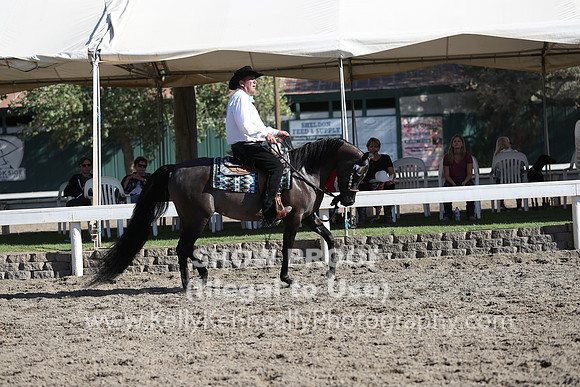 DAHA_FALL19FRIPM_3197