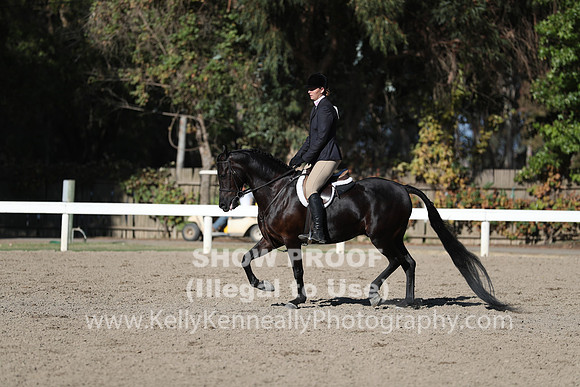 DAHA_FALL19FRIPM_3307